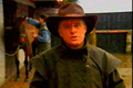 Jeff Horses
